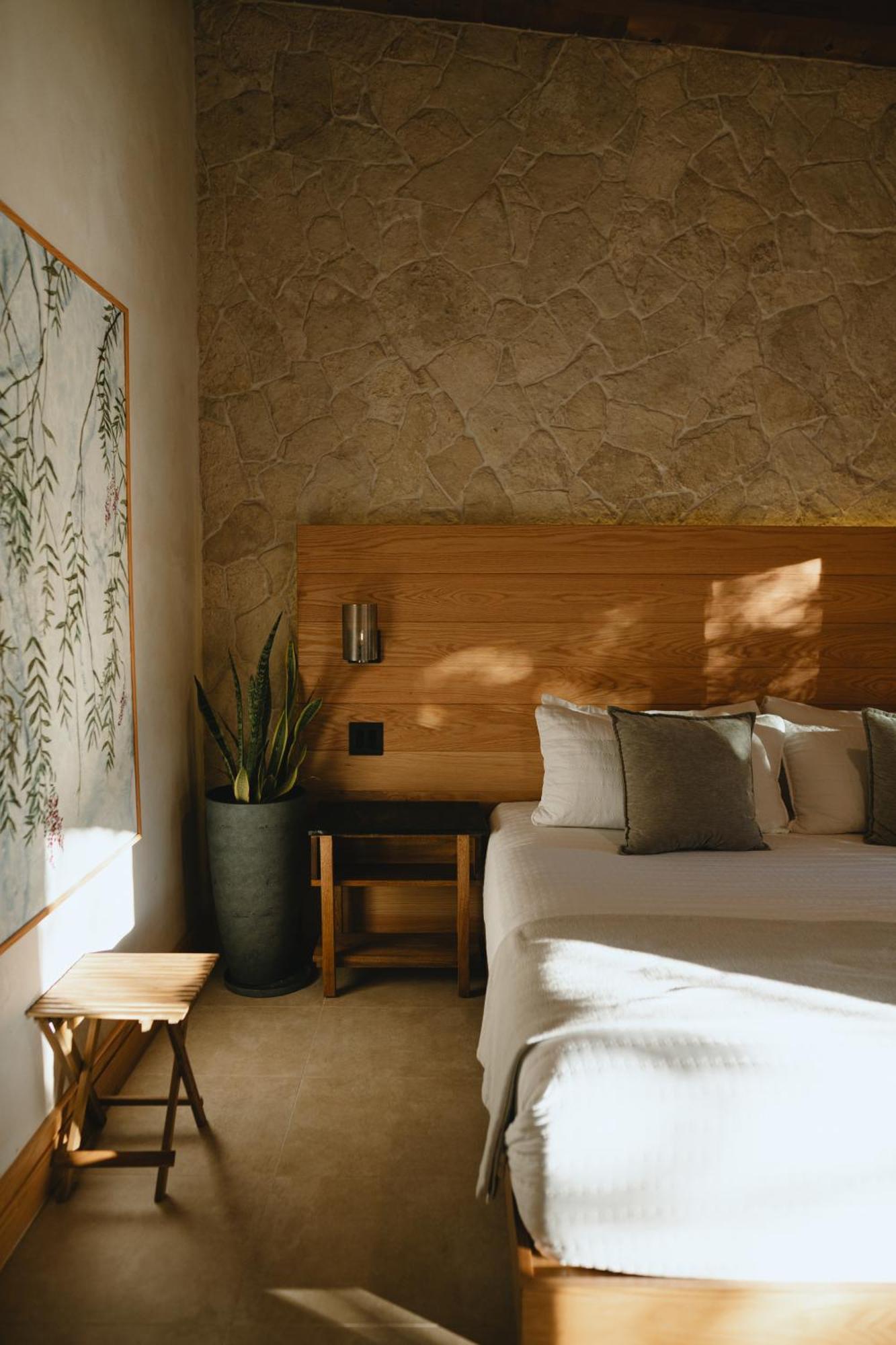 Mya Hotel Valle de Guadalupe Exterior photo